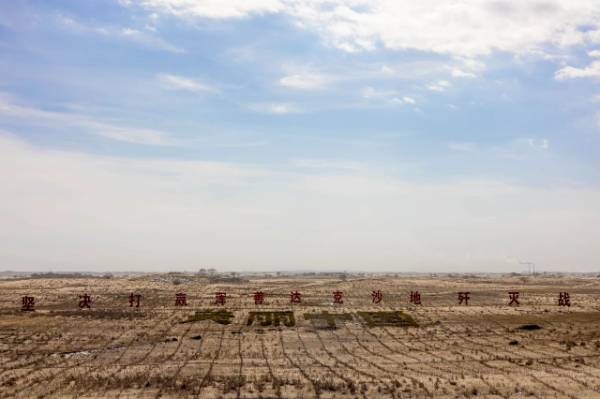 1749449614861161.jpg 4 (1).jpg