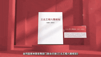 1749449896123577.gif 2.gif