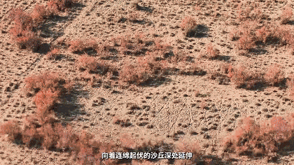 1749449924774801.gif 4.gif