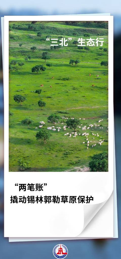 1749450296813782.jpg 1 (1).jpg