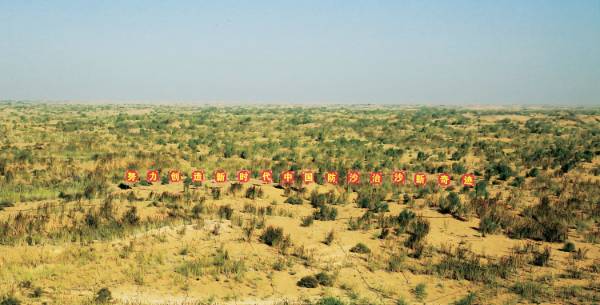 1749450491764738.jpg 4 (1).jpg