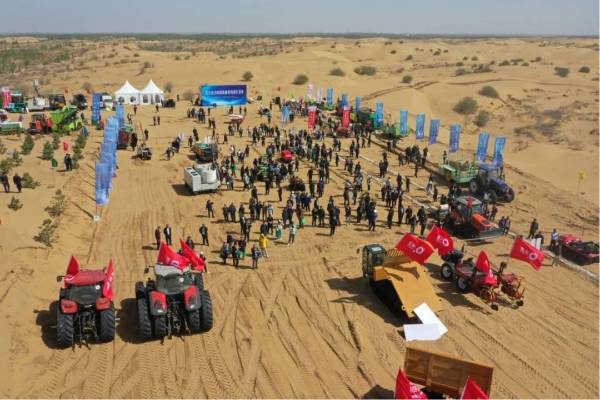 1749450697534682.jpg 1 (1).jpg