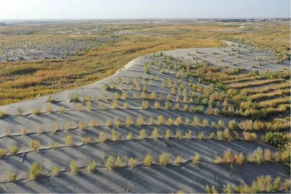 1749450760450627.jpg 4 (1).jpg