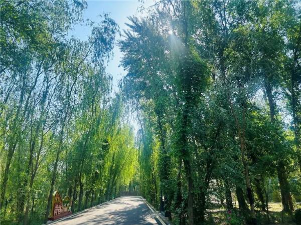 1749451272841563.jpg 1 (1).jpg