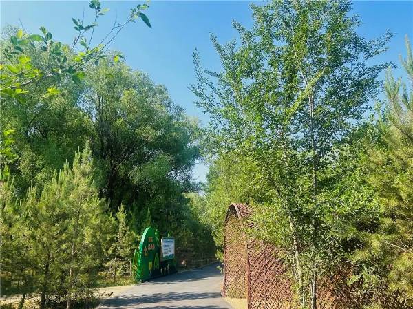 1749451286195197.jpg 2 (1).jpg