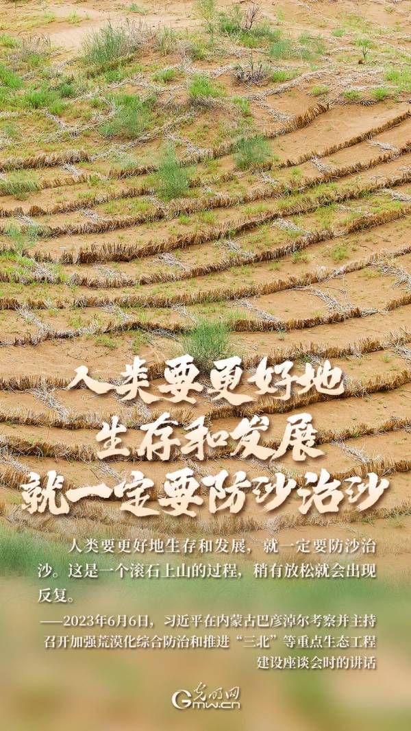 1749451507365402.jpg 2 (1).jpg