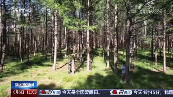 1749451851573553.jpg 6 (1).jpg