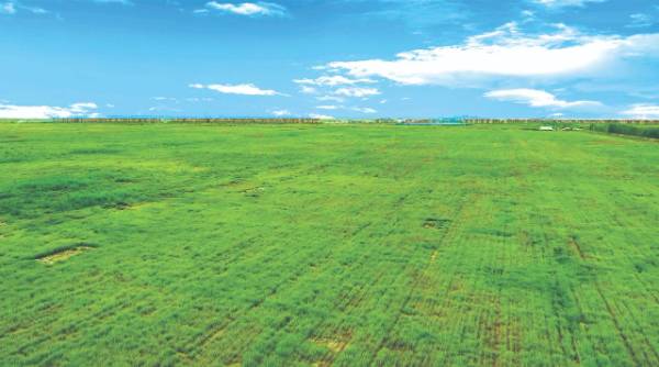 1749452124487430.jpg 1.jpg