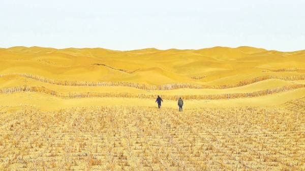 1749452295854837.jpg 4.jpg