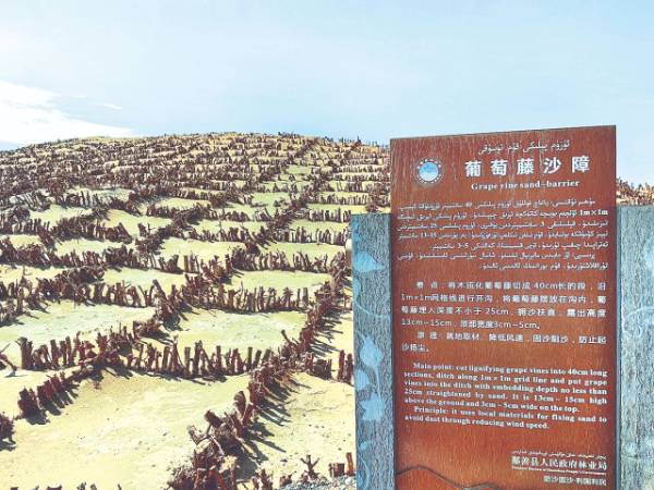 1749452314232695.jpg 6.jpg