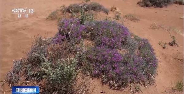 1749452982778272.png 6.png