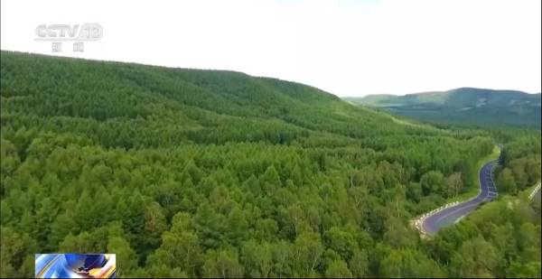 1749452999813966.png 7.png