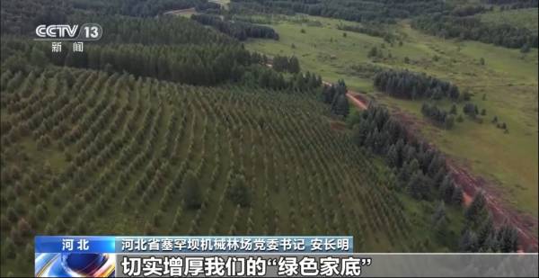 1749453006136868.png 8.png