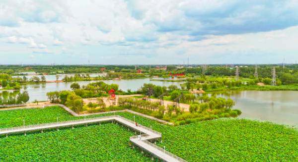 1749453602423521.jpg 1 (1).jpg