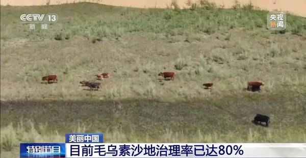 1749454151400557.jpg 1.jpg