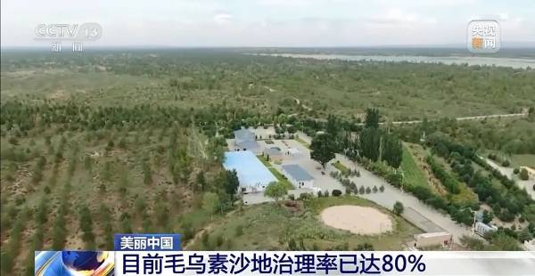 1749454171101070.jpg 4.jpg