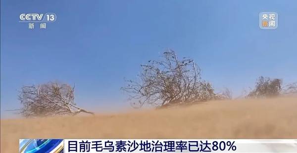 1749454178685558.jpg 5.jpg