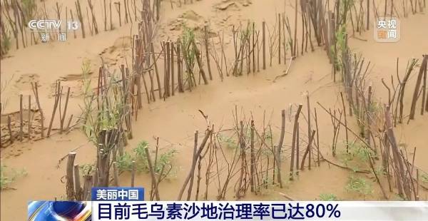 1749454186745219.jpg 6.jpg