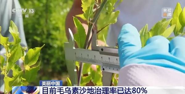 1749454192315868.jpg 7.jpg