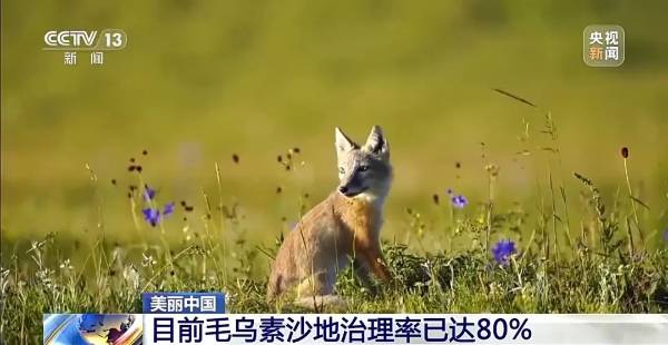 1749454198538066.jpg 8.jpg