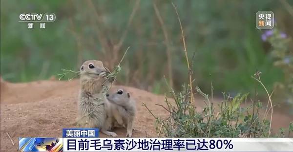 1749454204501678.jpg 9.jpg