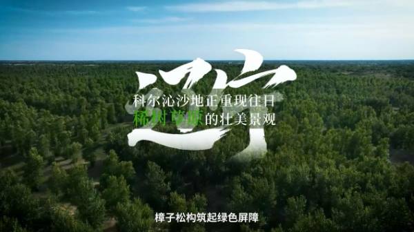 1749457264848247.jpg 3.jpg