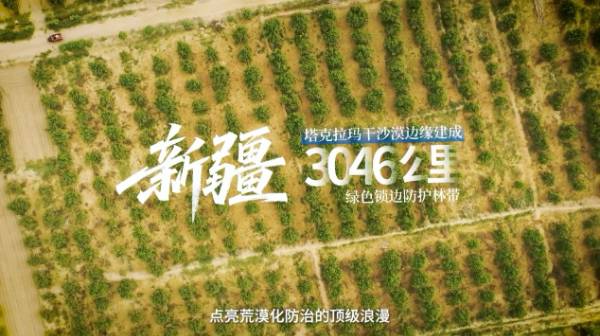 1749457270147372.jpg 4.jpg