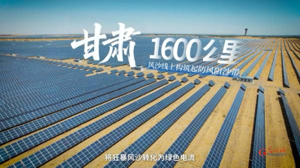 1749457277737944.jpg 5.jpg