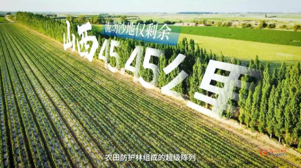 1749457284451405.jpg 6.jpg