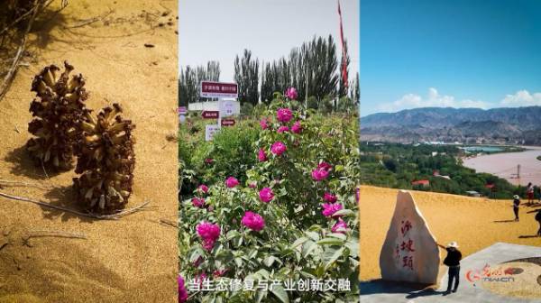 1749457298137580.jpg 7.jpg