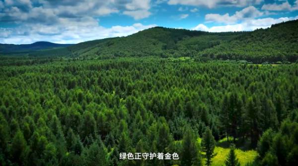 1749457306932372.jpg 8.jpg