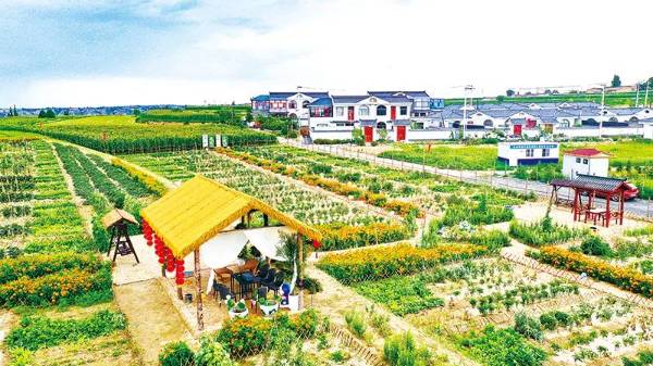 1749606528461130.jpg 640 (1).jpg