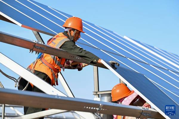 1749607031595230.jpg 8.jpg