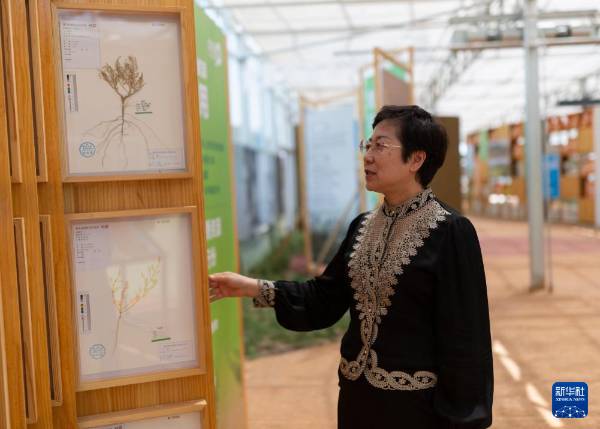 1749607038238342.jpg 9.jpg