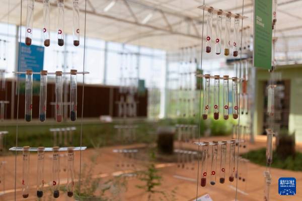 1749607045538496.jpg 10.jpg