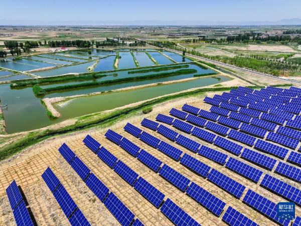 1749607064938348.jpg 12.jpg