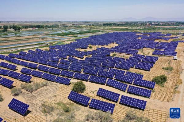 1749607086694860.jpg 13.jpg