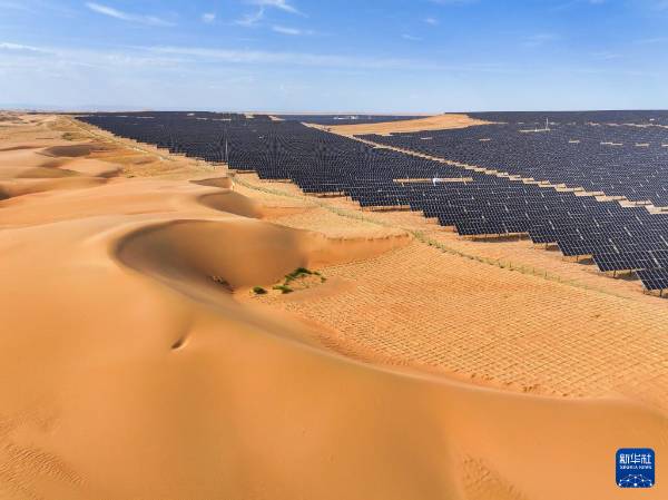 1749607108808578.jpg 15.jpg