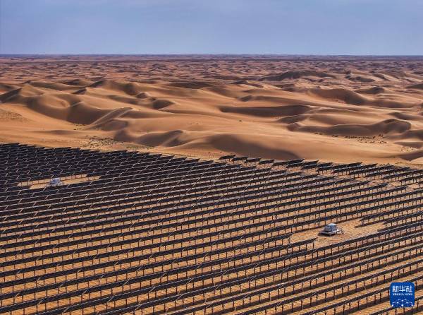 1749607122543679.jpg 16.jpg