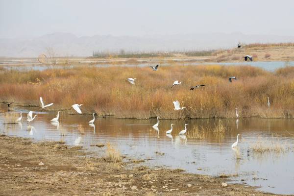 1749617306660180.jpg 1 (1).jpg