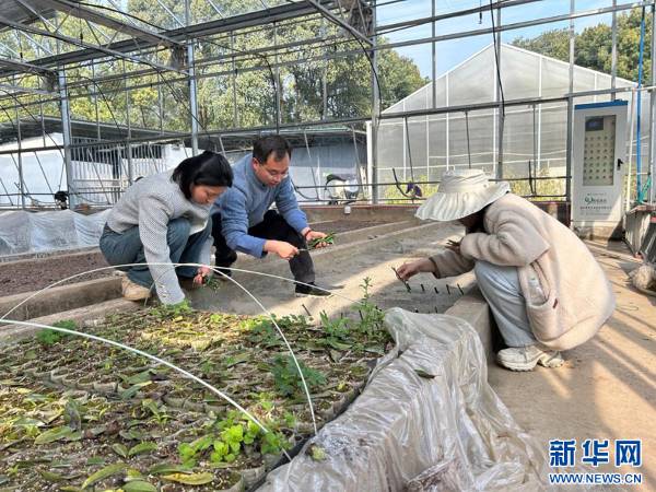 1749617456244454.jpg 3 (1).jpg