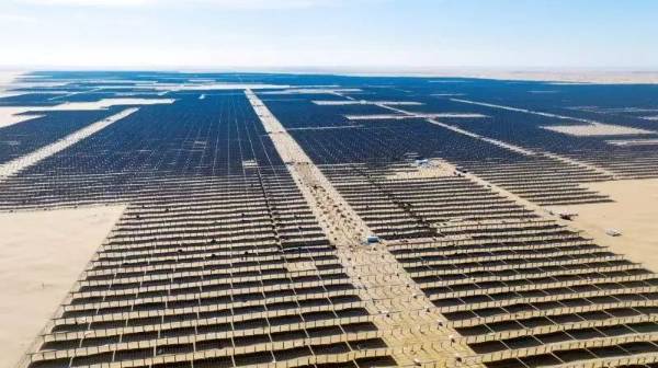 1749618550862642.jpg 7 (1).jpg