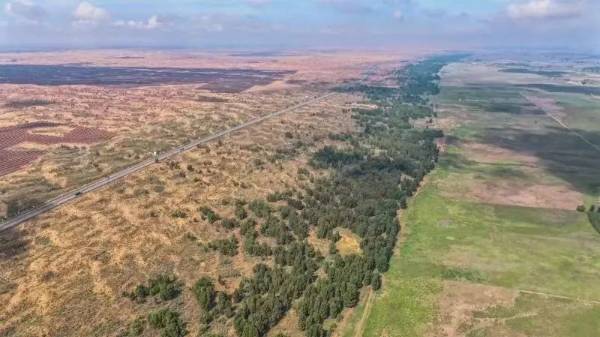 1749618558544189.jpg 6 (1).jpg