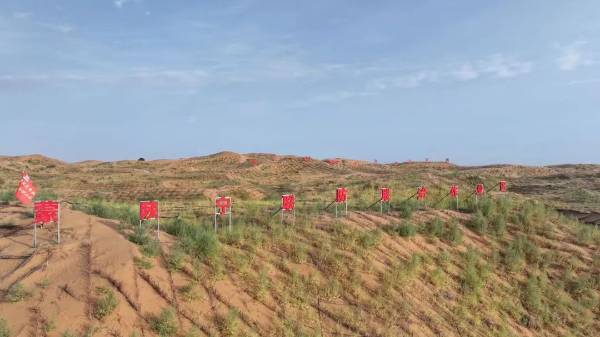 1749618566141840.jpg 5 (1).jpg