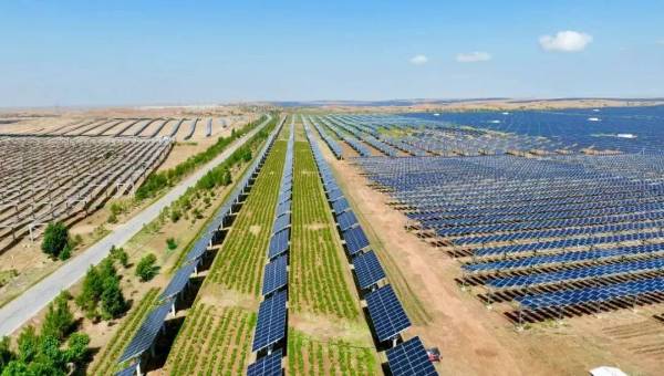 1749704751415680.jpg 2.jpg