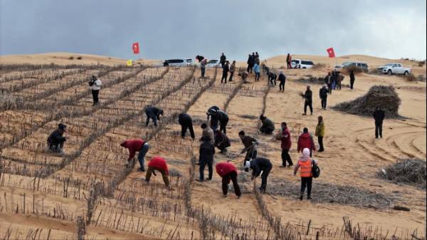 1749704757776447.png 3.png