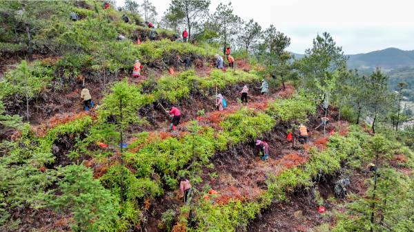 1749707682586052.png 640 (1).png