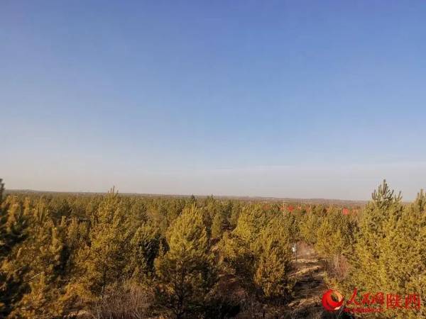 1749708009273048.jpg 6.jpg