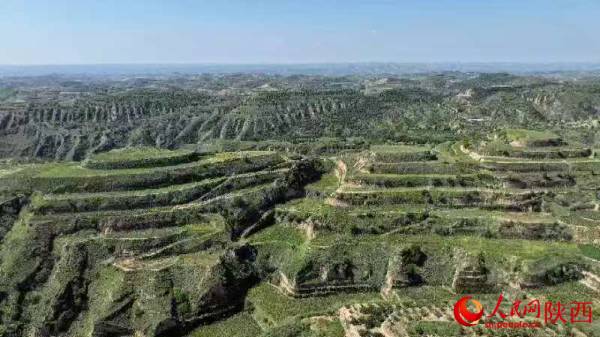 1749708028906075.png 8.png