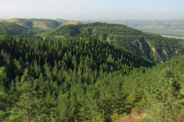 1749708038257774.jpg 9.jpg